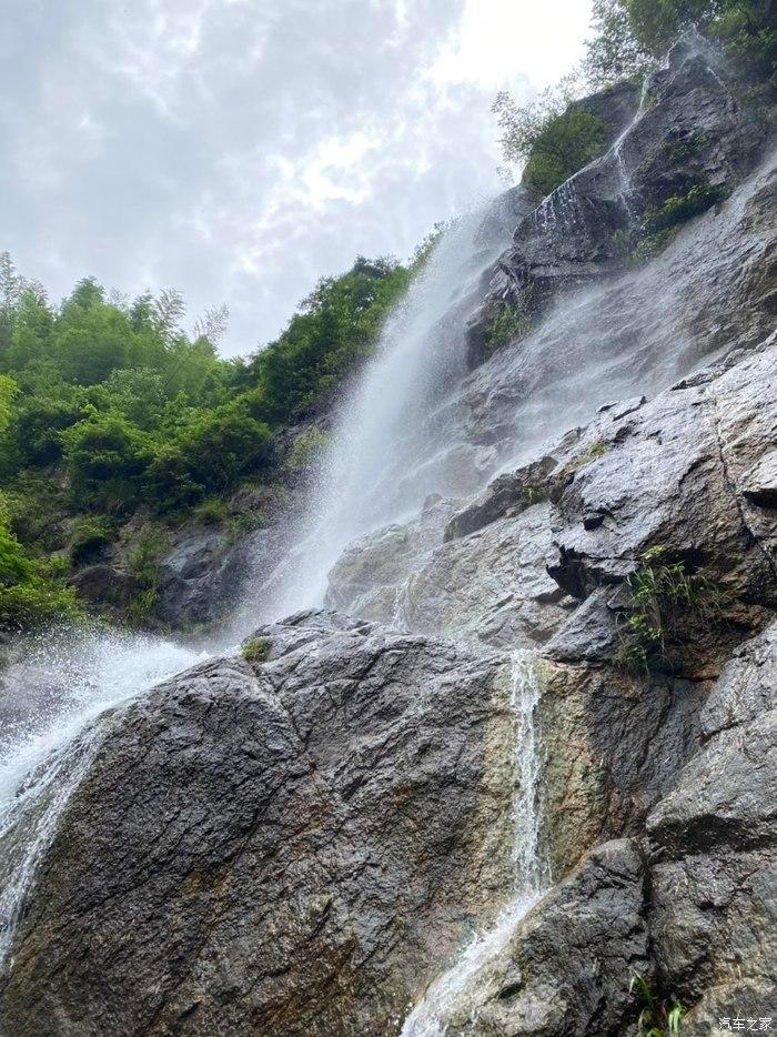 “南橘北莓”背后:“出圈”的特色鲜果兴业助农